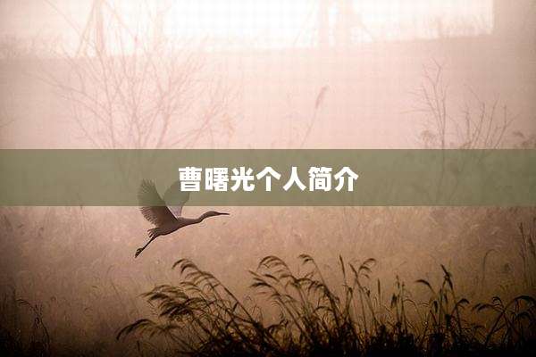 曹曙光个人简介