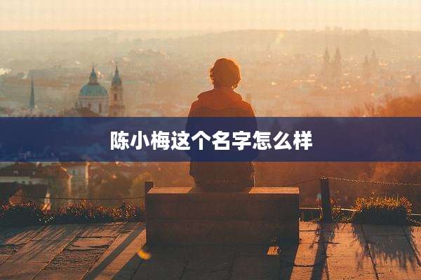 陈小梅这个名字怎么样