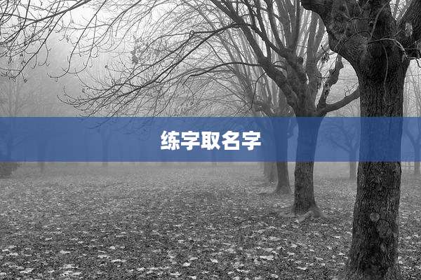 练字取名字