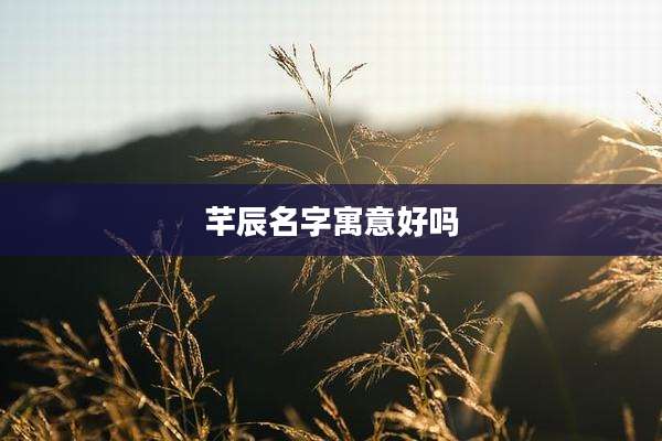 芊辰名字寓意好吗