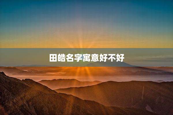 田皓名字寓意好不好