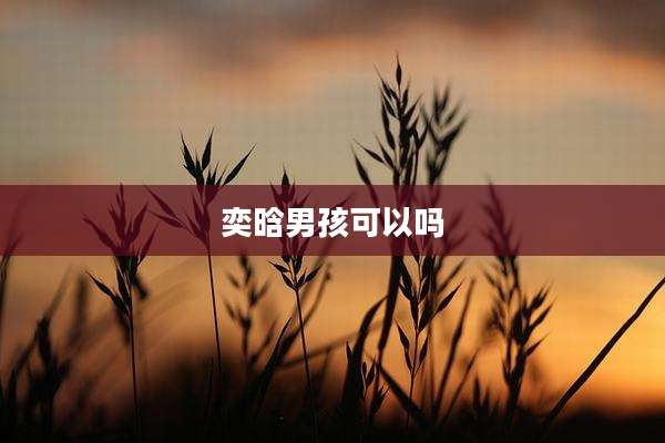 奕晗男孩可以吗