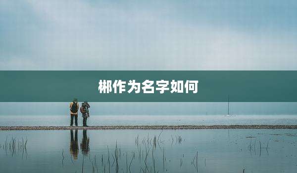 郴作为名字如何