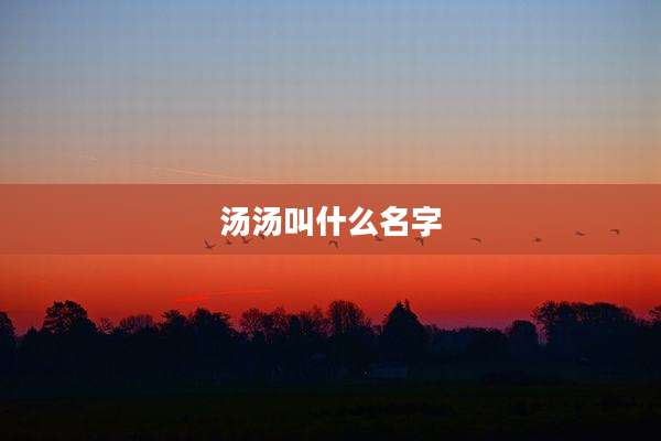 汤汤叫什么名字