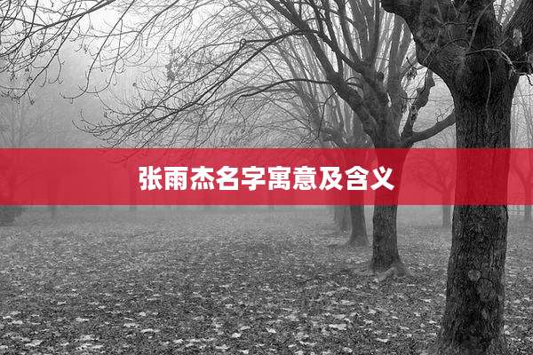 张雨杰名字寓意及含义