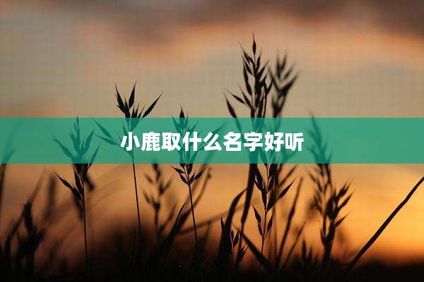 小鹿取什么名字好听
