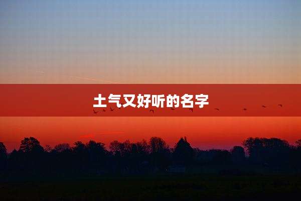 土气又好听的名字