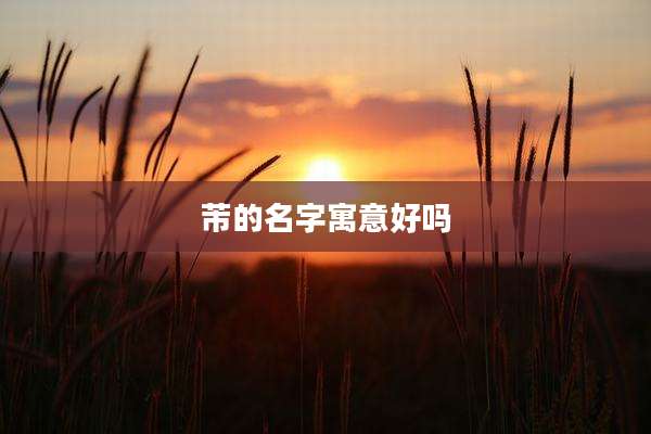 芾的名字寓意好吗