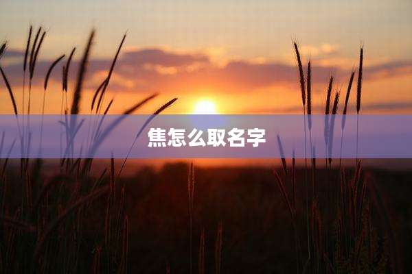 焦怎么取名字