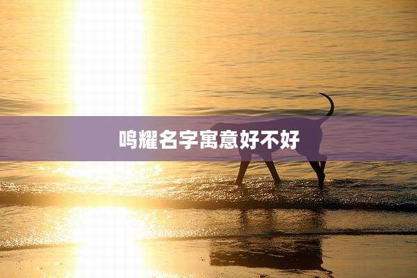 鸣耀名字寓意好不好
