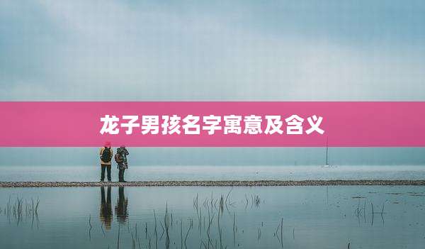 龙子男孩名字寓意及含义