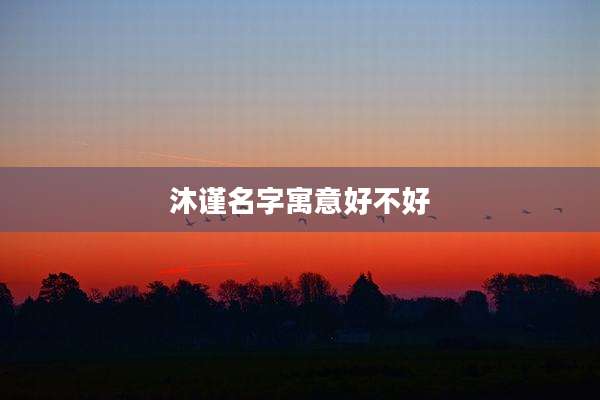 沐谨名字寓意好不好