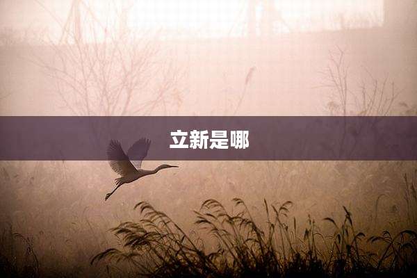 立新是哪