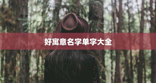 好寓意名字单字大全