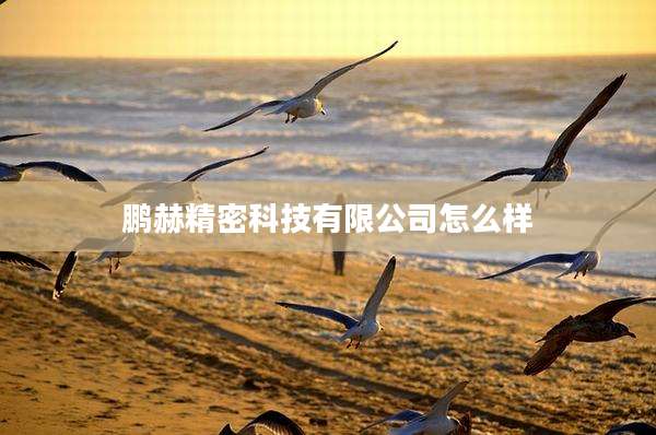 鹏赫精密科技有限公司怎么样