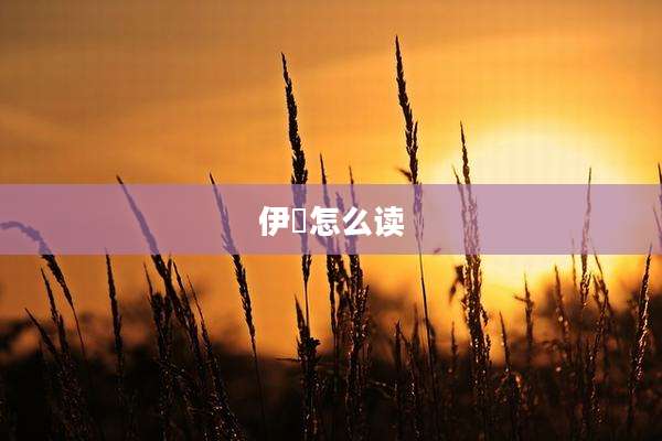伊珺怎么读