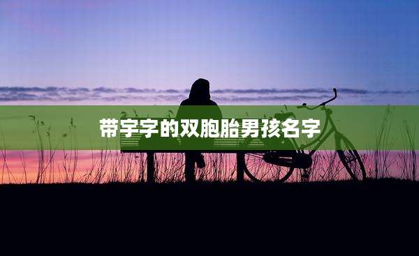 带宇字的双胞胎男孩名字