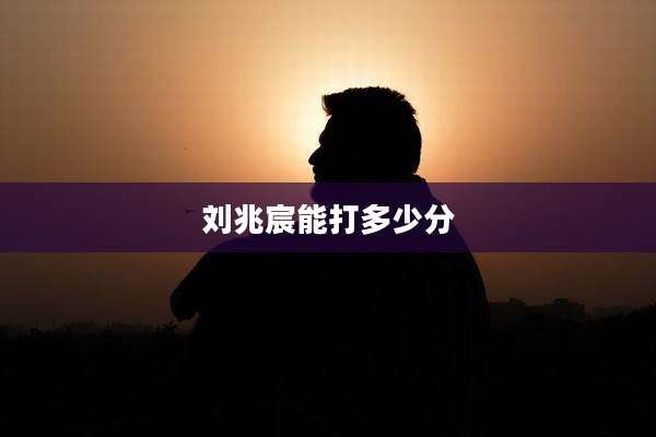 刘兆宸能打多少分