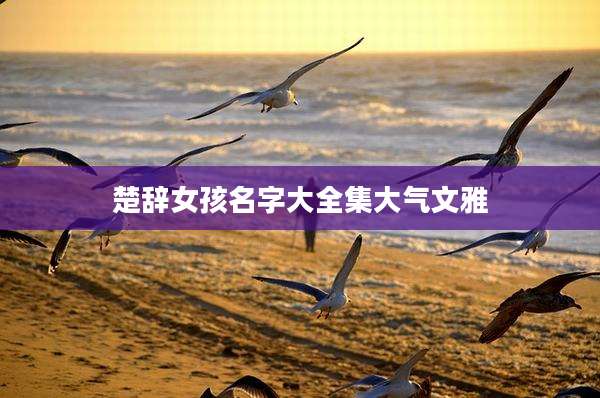 楚辞女孩名字大全集大气文雅