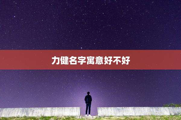 力健名字寓意好不好