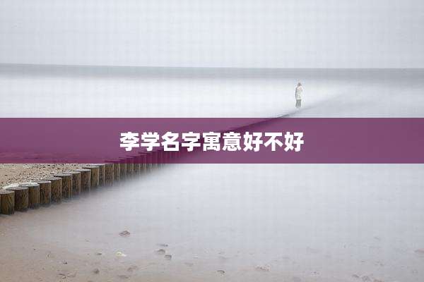 李学名字寓意好不好