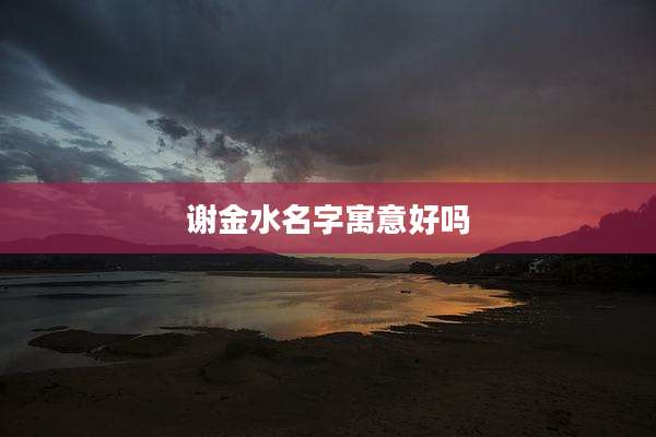 谢金水名字寓意好吗