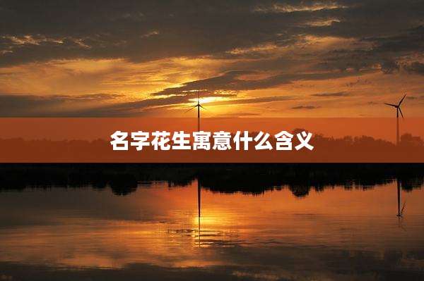 名字花生寓意什么含义