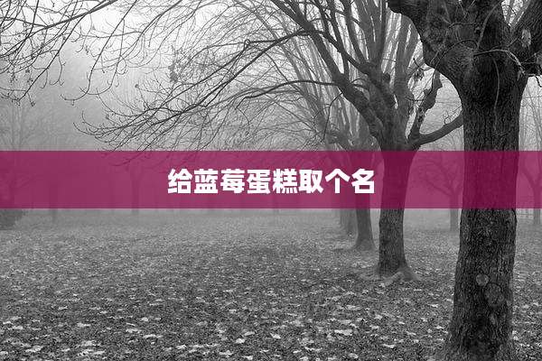 给蓝莓蛋糕取个名