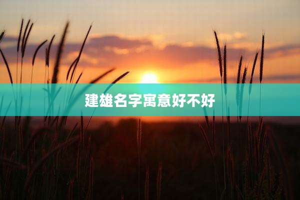 建雄名字寓意好不好