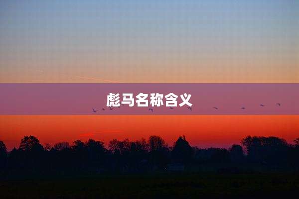 彪马名称含义