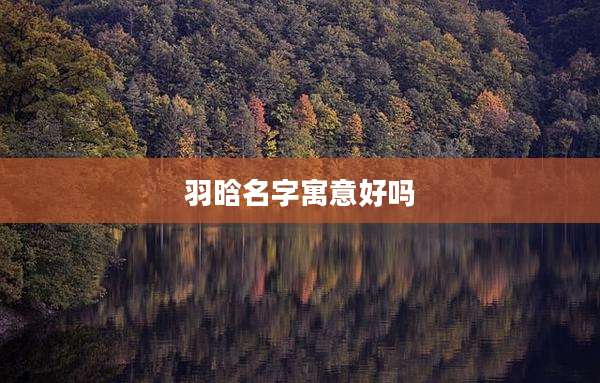 羽晗名字寓意好吗