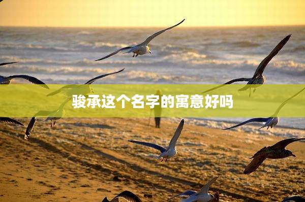 骏承这个名字的寓意好吗