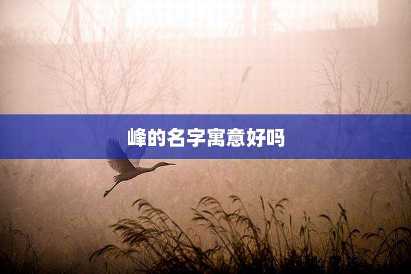 峰的名字寓意好吗