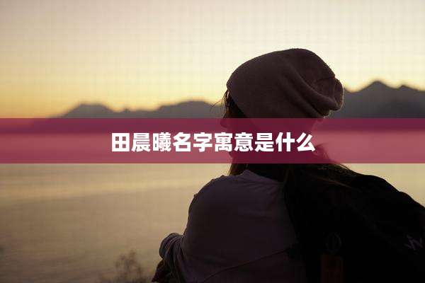 田晨曦名字寓意是什么