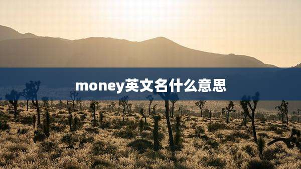 money英文名什么意思