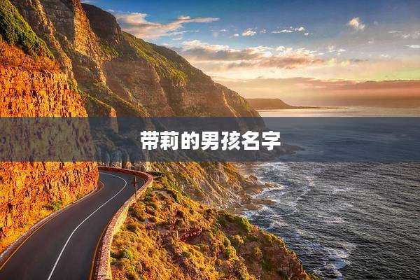 带莉的男孩名字