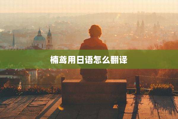 楠鸢用日语怎么翻译