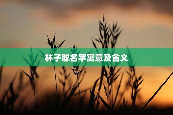 林子聪名字寓意及含义