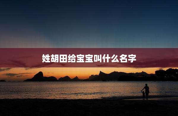 姓胡田给宝宝叫什么名字
