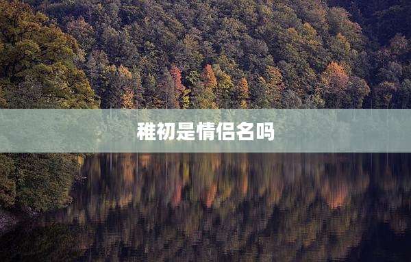 稚初是情侣名吗