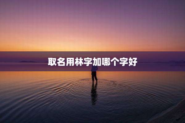 取名用林字加哪个字好
