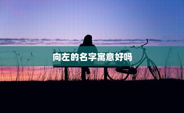 向左的名字寓意好吗