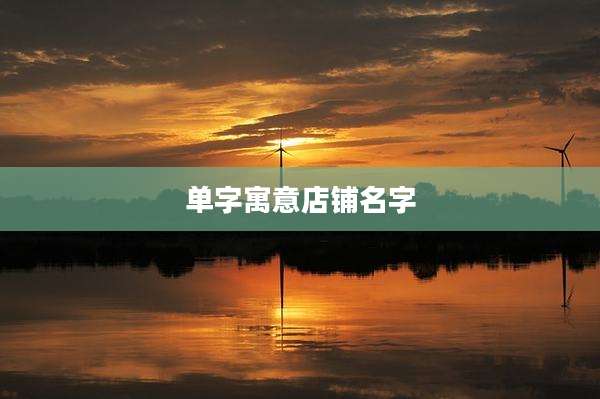 单字寓意店铺名字