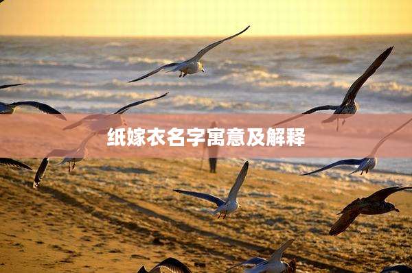 纸嫁衣名字寓意及解释