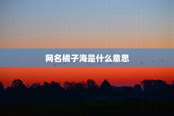 网名橘子海是什么意思