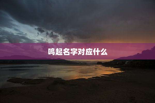 鸣起名字对应什么