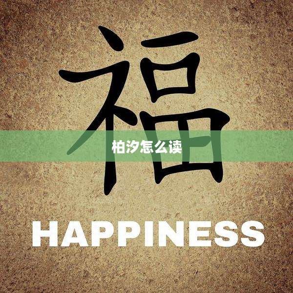 柏汐怎么读