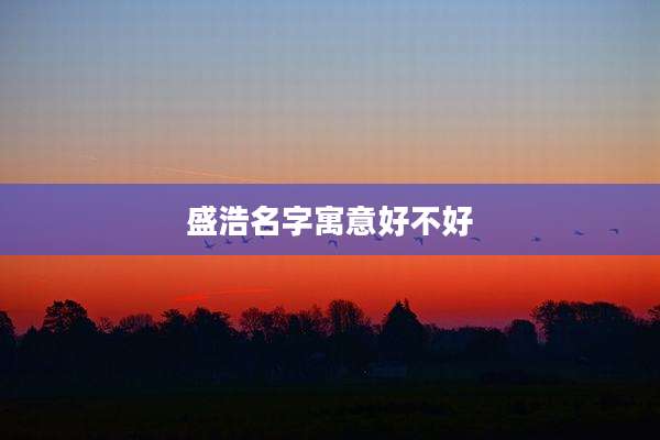 盛浩名字寓意好不好