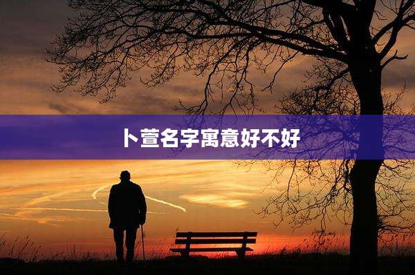 卜萱名字寓意好不好