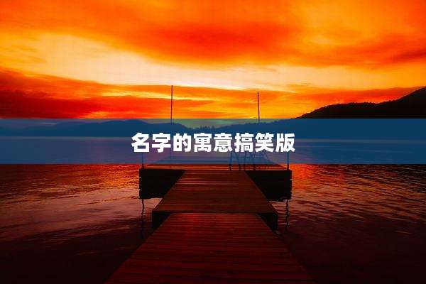 名字的寓意搞笑版